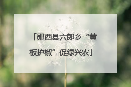 郧西县六郎乡“黄板护椒”促绿兴农